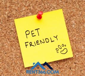Where to Find Pet-Friendly Apartments in Minersville
